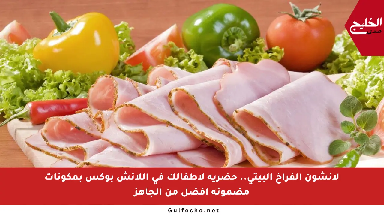 لانشون الفراخ البيتي.. حضريه لأطفالك في اللانش بوكس بمكونات مضمونة أفضل من الجاهز
